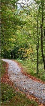 Country-Road-printed-fiberglass-screen-door