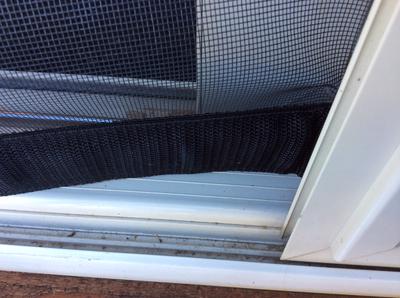 Bear versus screen door