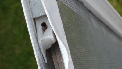 What is left in one of the bottoms